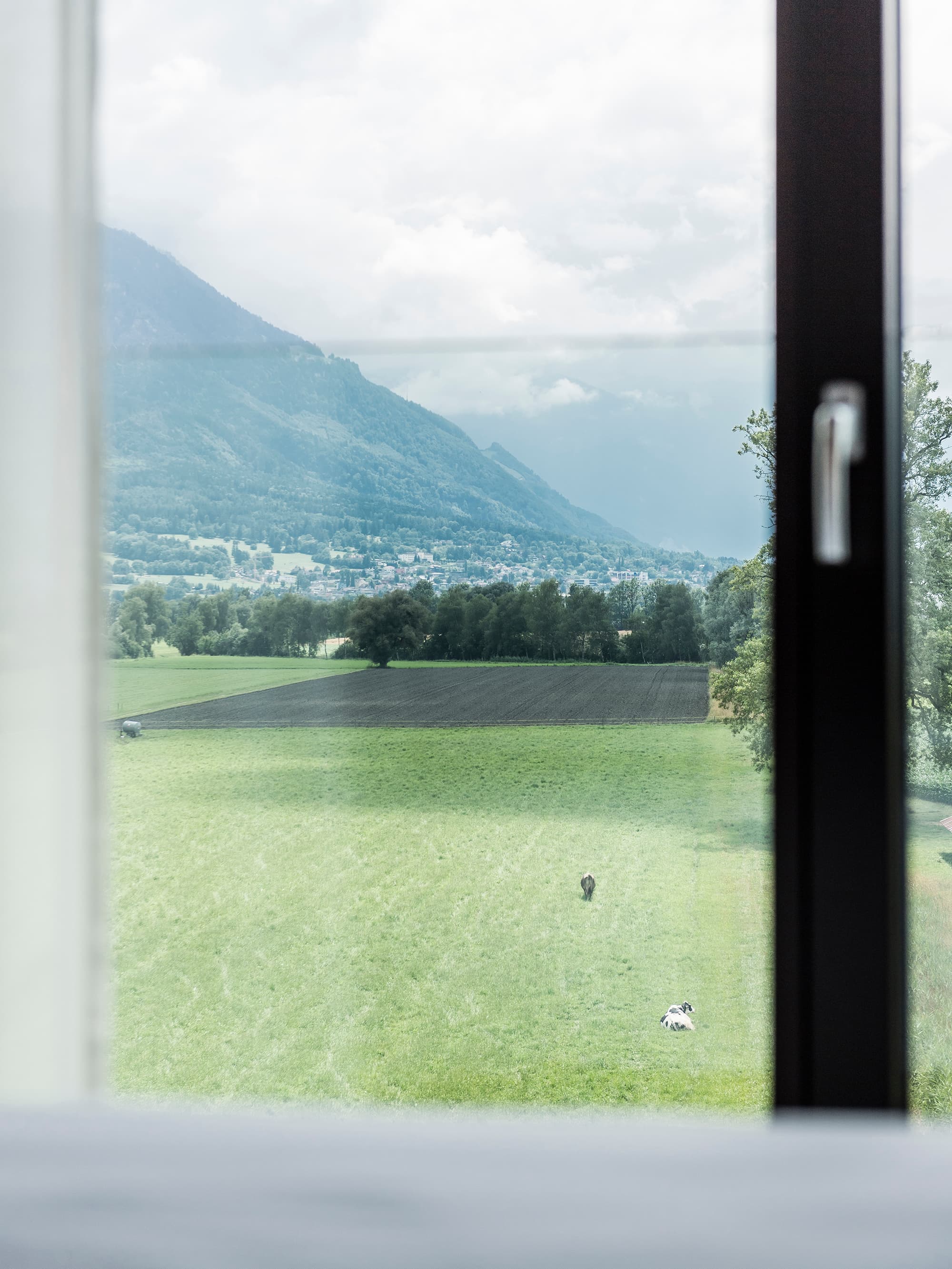 View from a window of a B_Smart Hotel room in Bendern of a green meadow with cows and a mountain background.